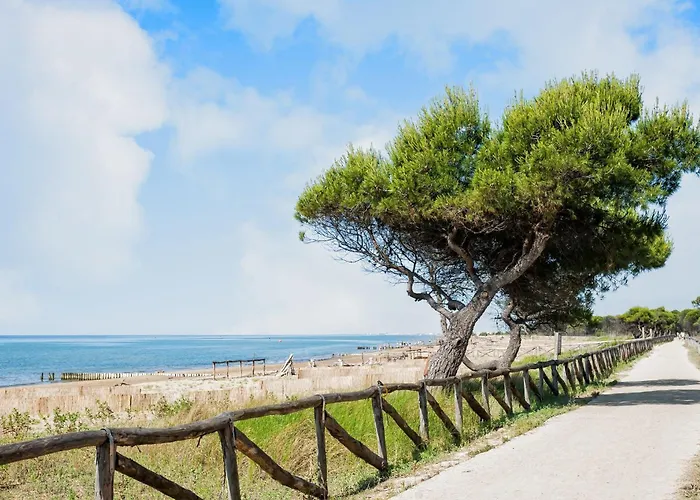 Daire Modern With Terrace *